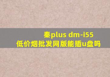 秦plus dm-i55(低价烟批发网)版能插u盘吗